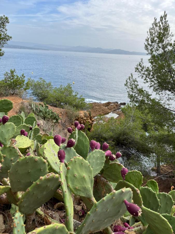 La Ciotat Vieux Port 2 Lejlighed Eksteriør billede